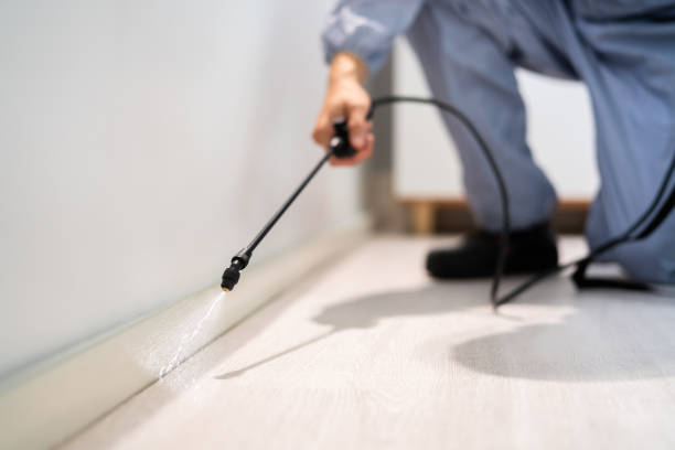 Licensed Rodent Control service in Leesville, LA - Nex Pest Control