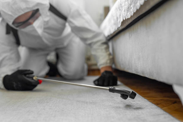 Professional Rodent Control technician working in Leesville, LA