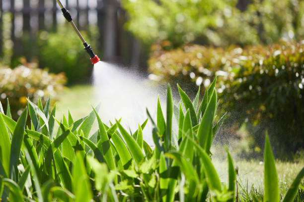24/7 Emergency Rodent Control experts in Leesville, LA