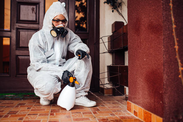 Reliable Rodent Control contractor in Leesville, LA by Nex Pest Control
